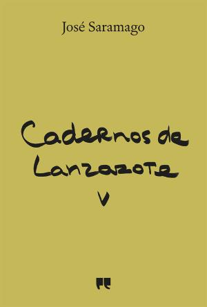 Cadernos de Lanzarote V