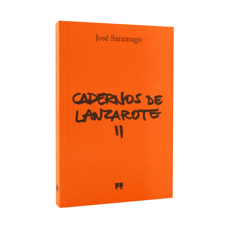 Lanzarote II notebooks