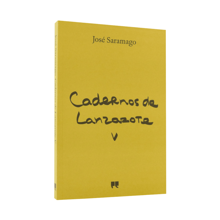 Cadernos de Lanzarote V