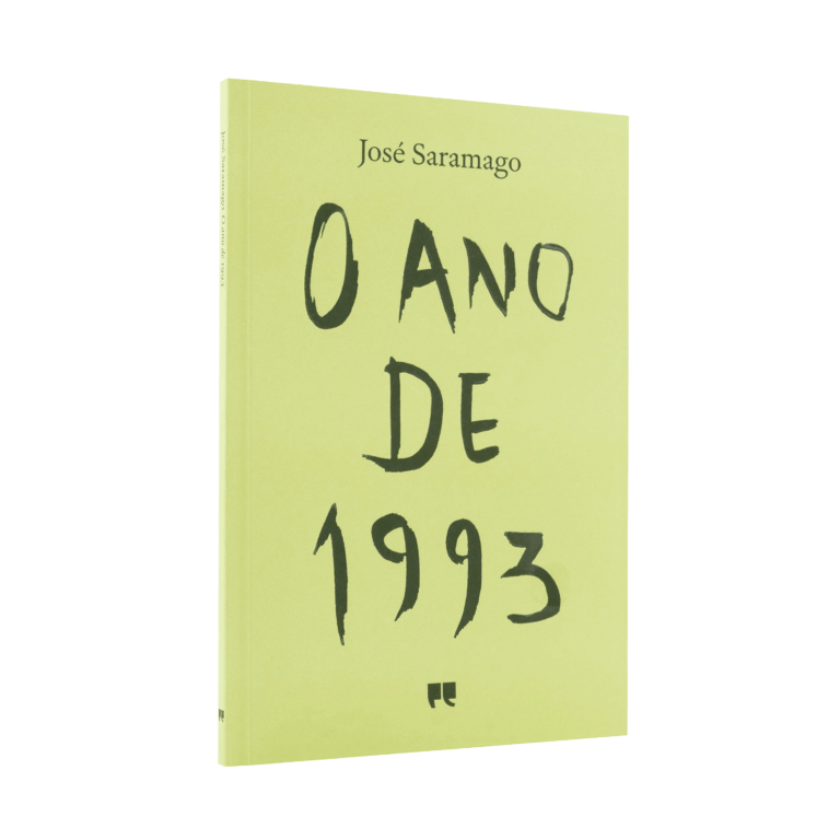 O Ano de 1993