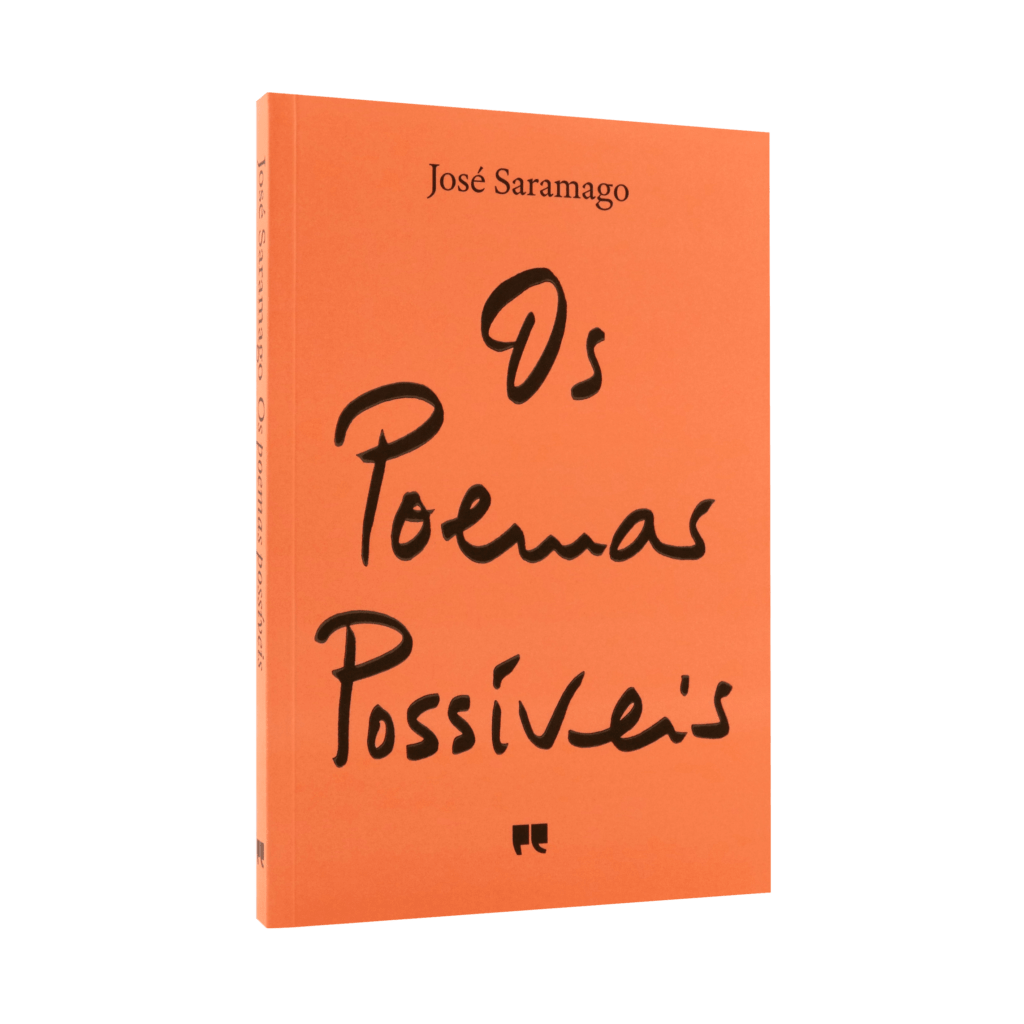 Possible Poems