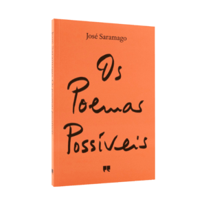 Os Poemas Possíveis