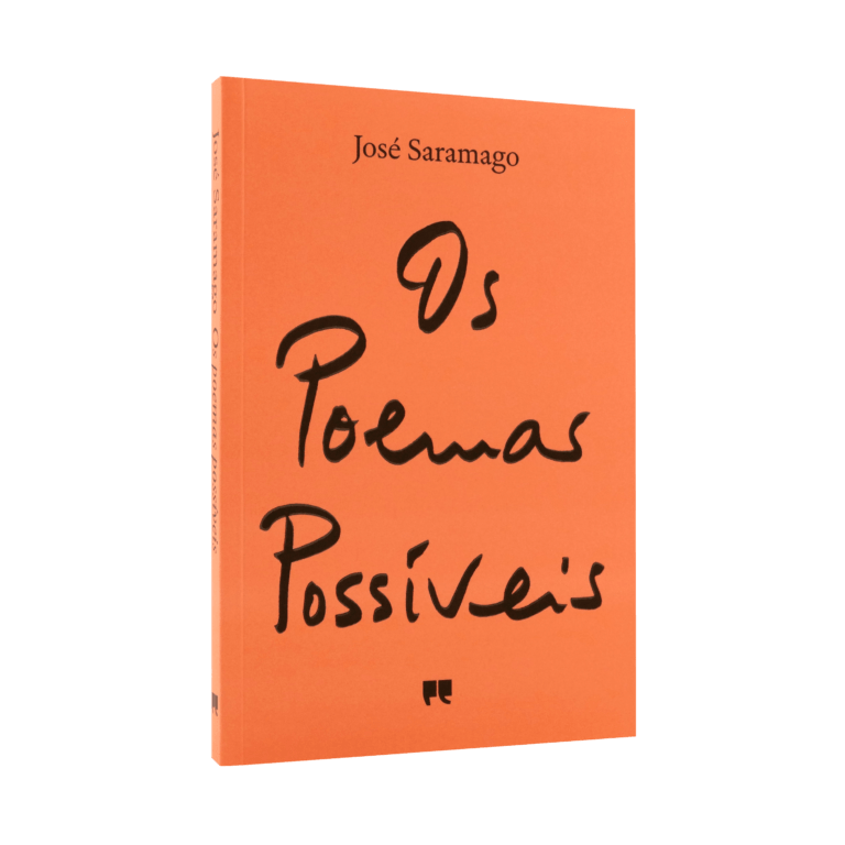 Posibles poemas