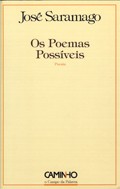 Possible Poems