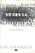 Blindness essay