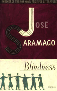 Blindness essay