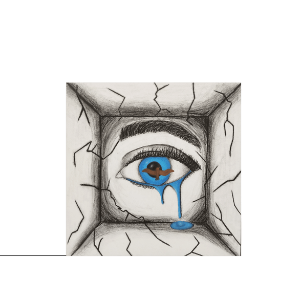Exposição «Olhares de solidão»